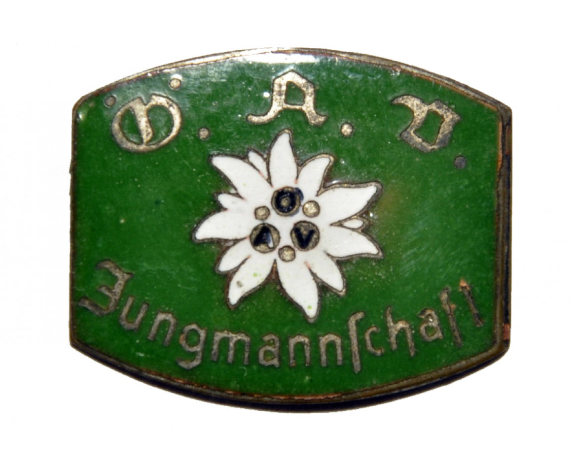 Значок с эдельвейсом DAV Jungmannschaft